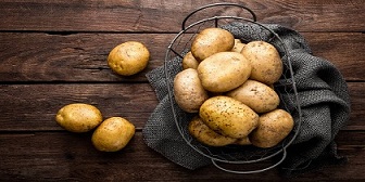 تصویر 1 از قیمت سیب زمینی جنگلی با کیفیت ارزان + خرید عمده